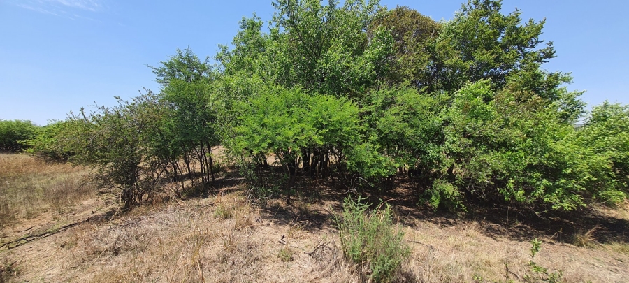 Commercial Property for Sale in La Camargue Private Country Estate North West